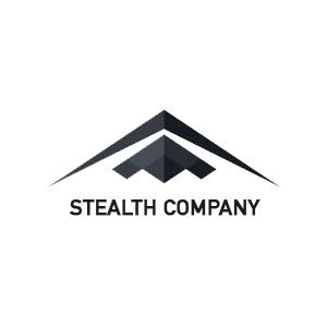 Newlin Consumer Projects Stealth Company